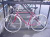 UBI-02-2007 043.jpg