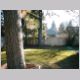 backyard.jpg