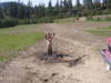 05-20-07 008.jpg